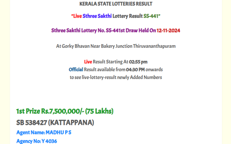 KERALA LOTTERY RESULT 12.11.2024